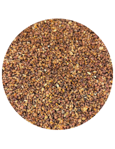 Sobacha