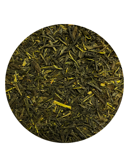Sencha Kaghosima