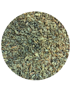 Gunpowder bio
