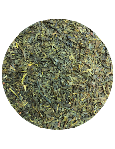 Sencha Makoto