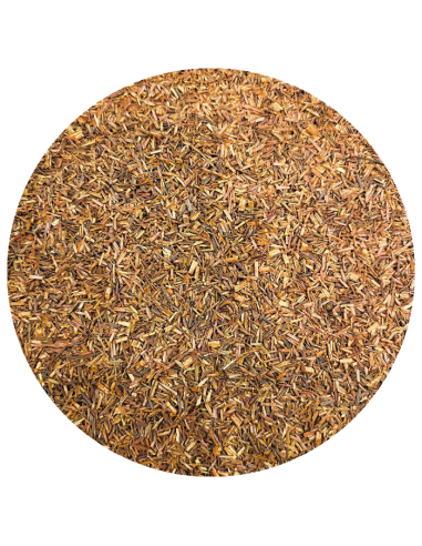 Rooïbos du Cap bio