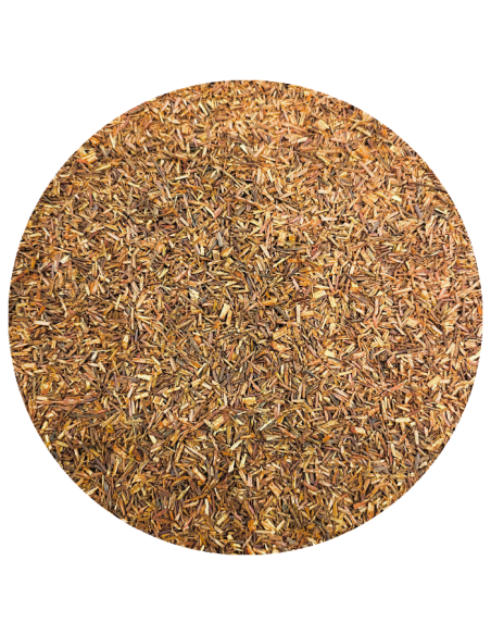 Rooïbos du Cap bio