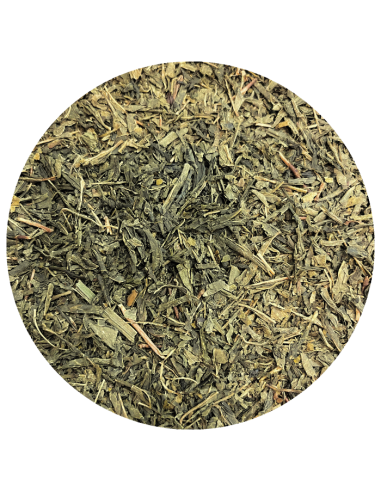Thé vert Sencha de Chine bio
