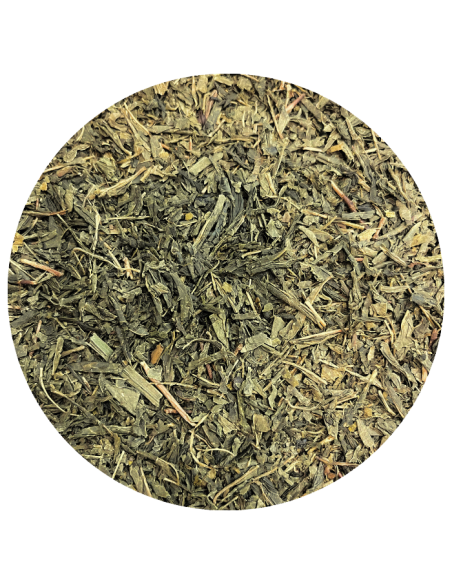 Thé vert Sencha de Chine bio