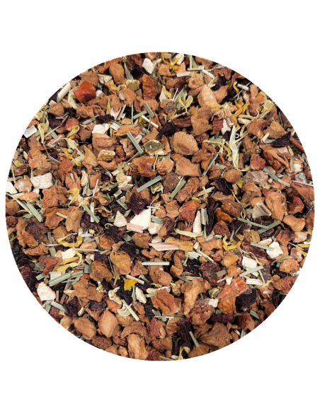 Fruits des lutins bio