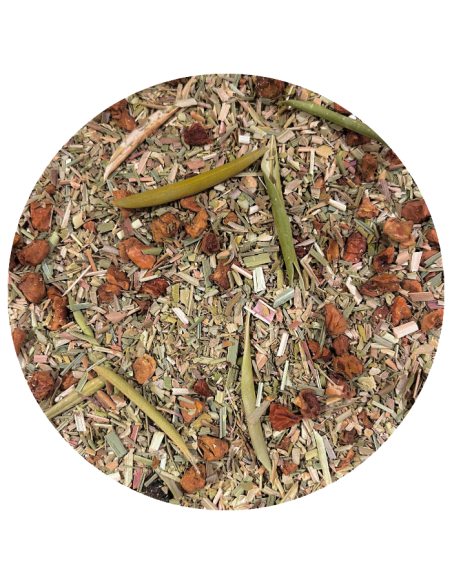 Tisane du sud bio