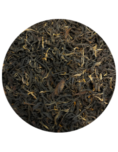 Yunnan Moonlight bio