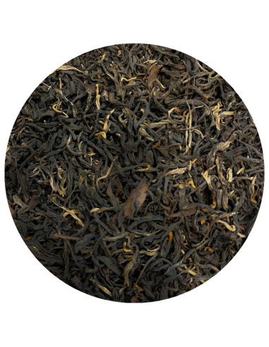 Yunnan Moonlight bio