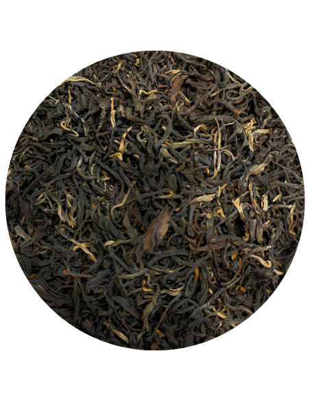 Yunnan Moonlight bio