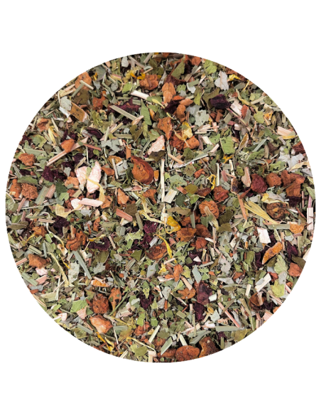 Tisane des elfes bio