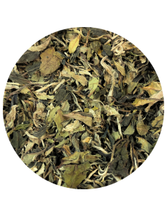 Grand Bai Mu Dan