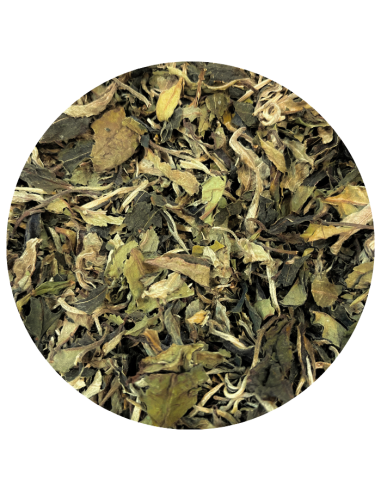 Grand Bai Mu Dan