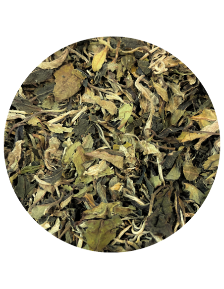 Grand Bai Mu Dan