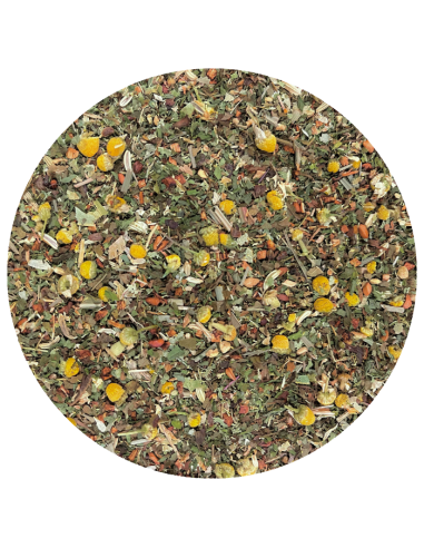 Juicea digestion