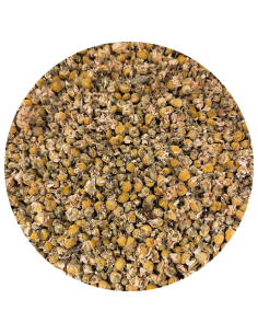 Camomille bio
