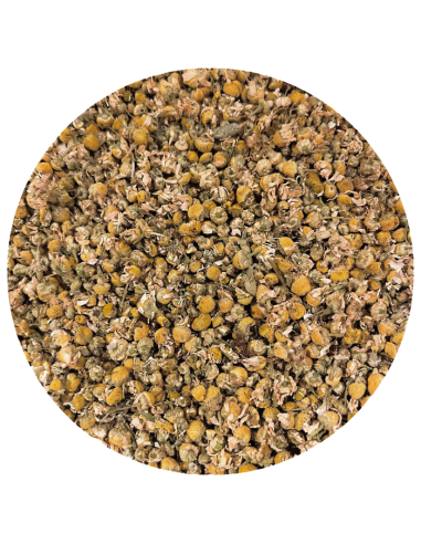 Camomille bio