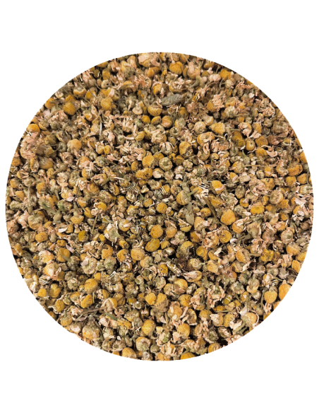 Camomille bio