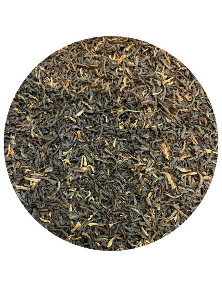 Assam Koilamari TGFOP 1