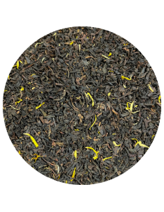 Terre de Provence bio