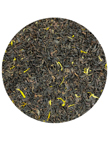 Terre de Provence bio