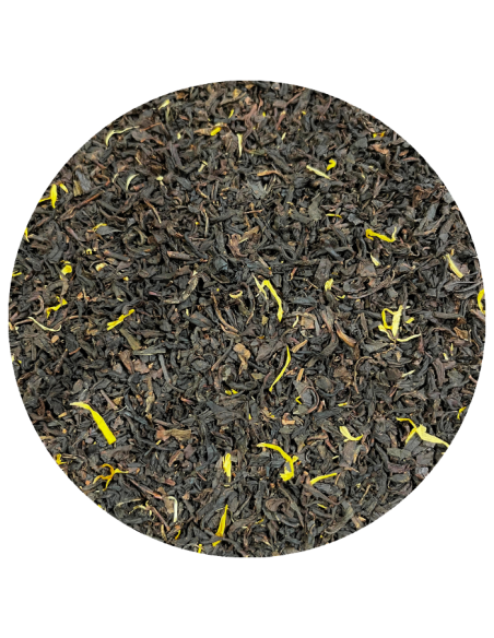 Terre de Provence bio