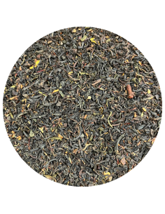 Fleur de Shiva
