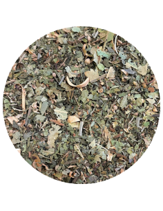 Tisane du berger