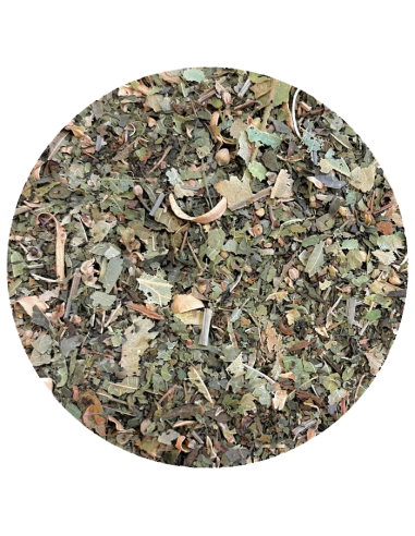Tisane du berger
