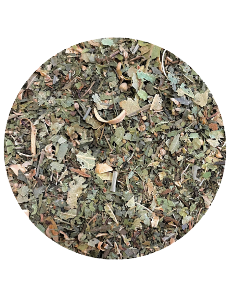 Tisane du berger
